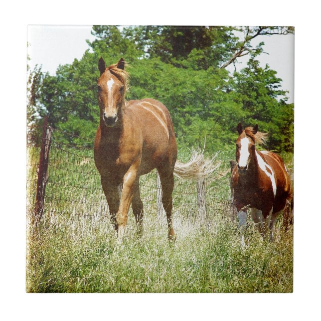 Azulejo De Cerámica Ven cuando te llamen, dos caballos (Frente)