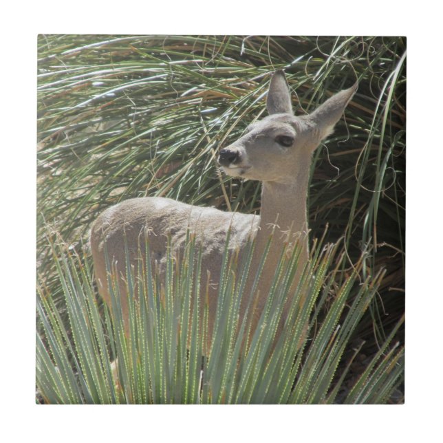 Azulejo De Cerámica Venado (Frente)