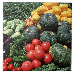 Azulejo De Cerámica Verduras 2