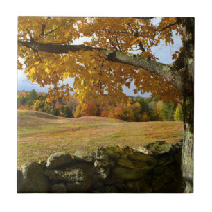 Azulejo De Cerámica Vermont Autumn View Tile