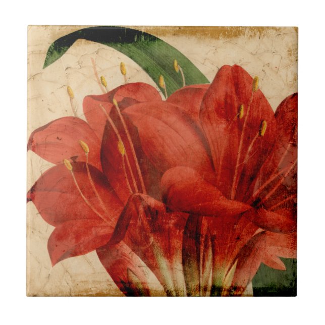 Azulejo De Cerámica Vibrante Floral VIII (Frente)