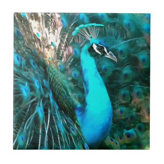 Azulejo De Cerámica Vibrante Pavo Real Azul Con Cola Avalada