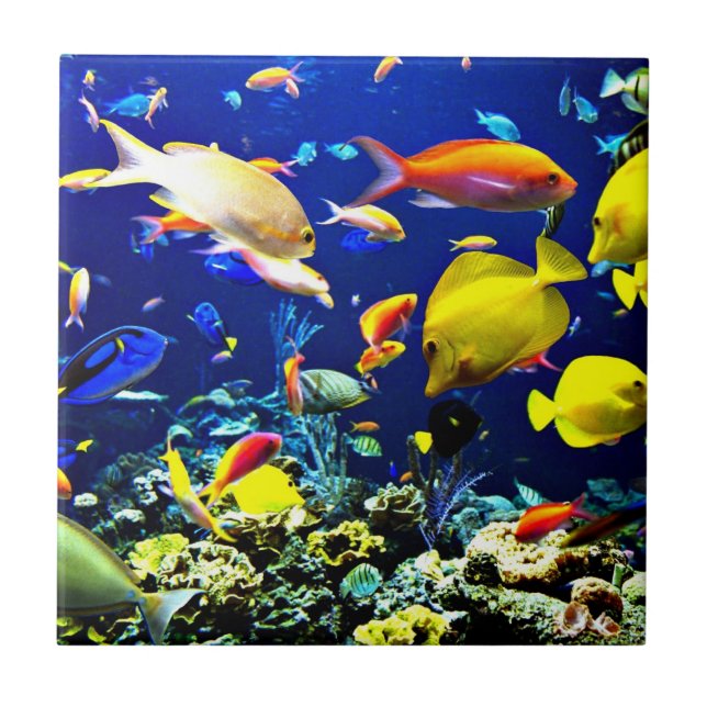 Azulejo De Cerámica Vibrante vida oceánica (Frente)