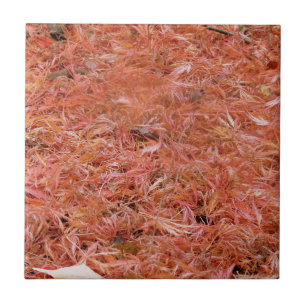 Azulejo De Cerámica Vibrantes hojas de otoño rojas