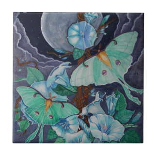 Azulejo De Cerámica Vida de la luna