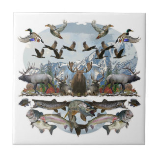 Azulejo De Cerámica Vida exterior