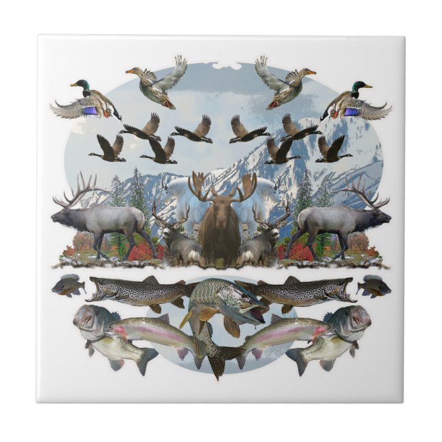 Azulejo De Cerámica Vida exterior (Frente)