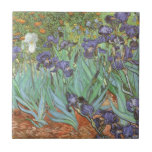 Azulejo De Cerámica Vincent van Gogh - Irises<br><div class="desc">Irises (1889) de Van Gogh es una pintura vintage post impresionsionismo de arte fino de naturaleza floral. Un grupo de iris morados con barba y una sola flor blanca de iris que crece en un jardín. Fue una de sus primeras pinturas cuando estuvo en el asilo en Saint-Remy-de-Provence. En 1987...</div>