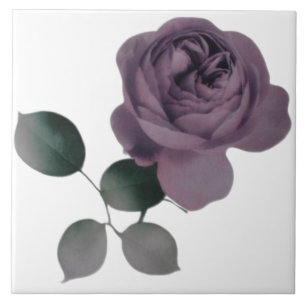 Azulejo De Cerámica Violet Rosa Tile