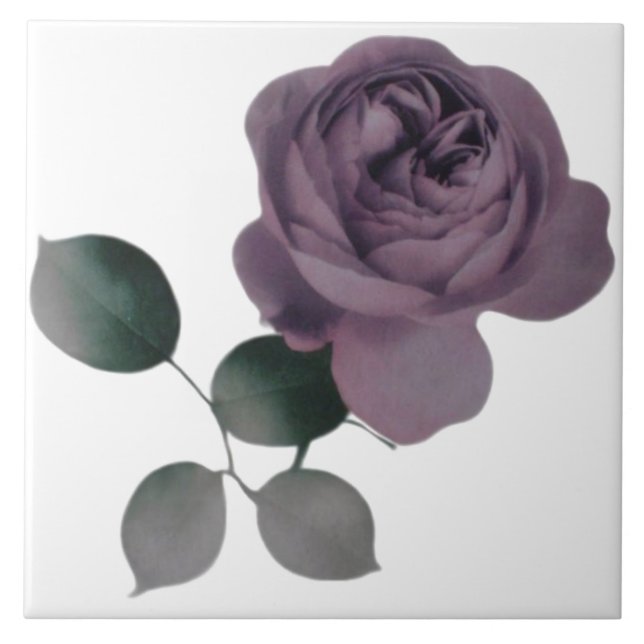 Azulejo De Cerámica Violet Rosa Tile (Frente)