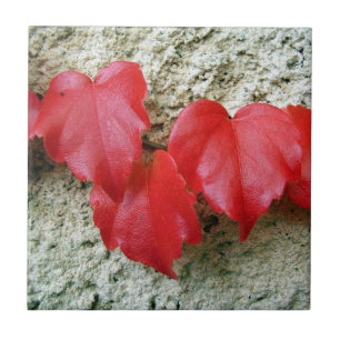 Azulejo De Cerámica Virginia Creeper deja mosaicos cerámicos