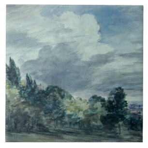 Azulejo De Cerámica Visión sobre un paisaje amplio, con los árboles en