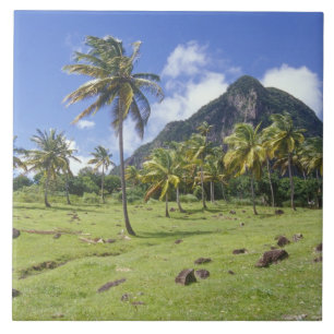 Azulejo De Cerámica vista de Gros Piton a lo largo del sendero históri