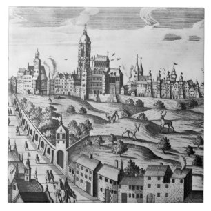 Azulejo De Cerámica Vista de Praga que muestra el palacio imperial y