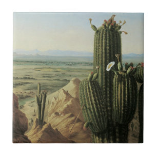 Azulejo De Cerámica Vista desde Maricopa Mountain cerca de Rio Gila po