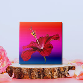 Azulejo De Cerámica Vista lateral de las flores rojas de Hibiscus