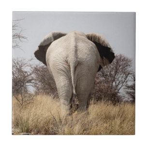 Azulejo De Cerámica Vista trasera de elefante