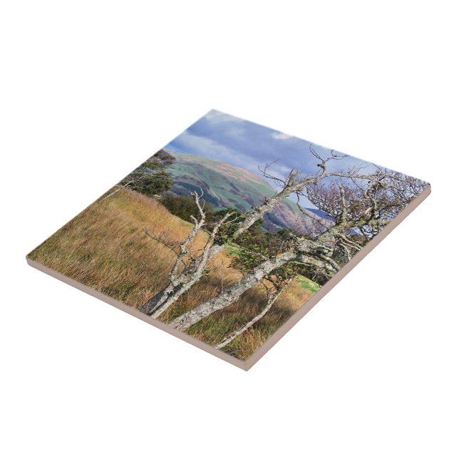 AZULEJO DE CERÁMICA VISTAS DE GALES (Lado)