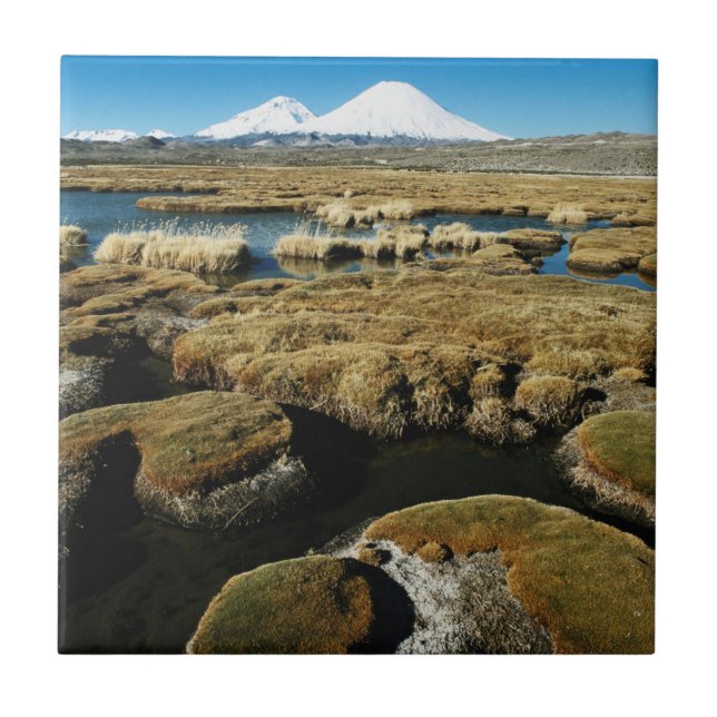 Azulejo De Cerámica Volcanes de Payachalas (Frente)