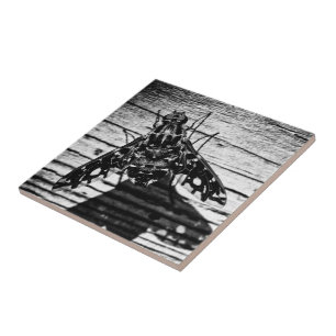 Azulejo De Cerámica volver atrás