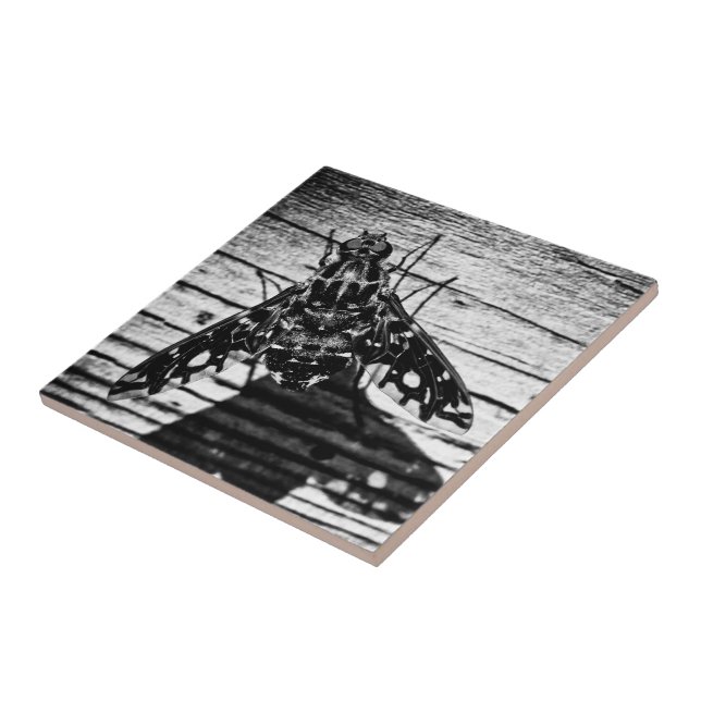 Azulejo De Cerámica volver atrás (Lado)