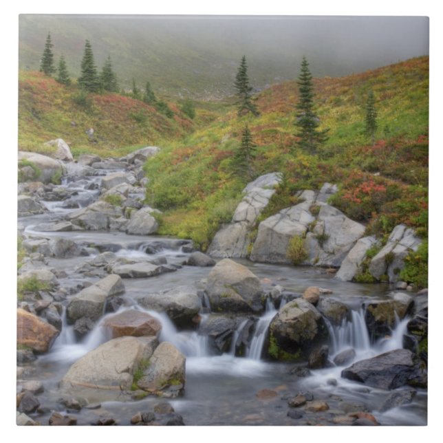 Azulejo De Cerámica WA, Parque Nacional del Monte Rainier, Edith Creek (Frente)