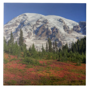 Azulejo De Cerámica WA, Parque Nacional Mt. Rainier, Paradise Valley