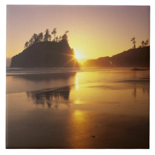 Azulejo De Cerámica WA, PN de Olympic, Segunda Playa al atardecer
