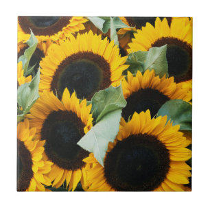 Azulejo De Cerámica Washington, Seattle, Girasol a la venta pike