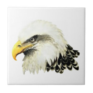 Azulejo De Cerámica Watercolor Bald Eagle Bird Wildlife Art