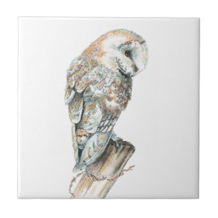 Azulejo De Cerámica Watercolor Barn Owl Bird Art