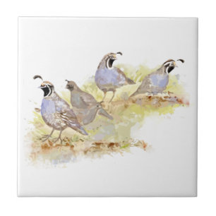 Azulejo De Cerámica Watercolor California Quail Bird Family