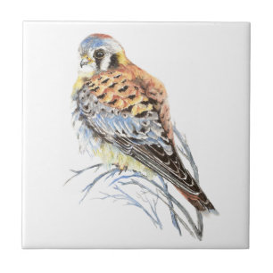 Azulejo De Cerámica Watercolor Kestrel Sparrow Hawk Bird Willife Art