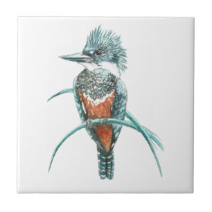 Azulejo De Cerámica Watercolor Kingfisher Bird Wildlife Art