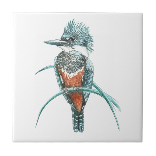 Azulejo De Cerámica Watercolor Kingfisher Bird Wildlife Art (Frente)
