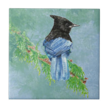 Watercolor Stellar Jay Bird Willife Art