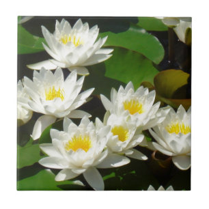 Azulejo De Cerámica waterlilies y hojas
