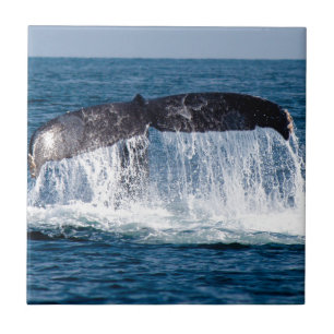 Azulejo De Cerámica Whale Tail