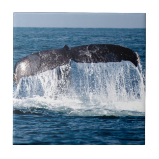 Azulejo De Cerámica Whale Tail