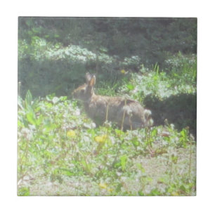 Azulejo De Cerámica Wild Bunny Tile