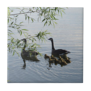 Azulejo De Cerámica Wild Geese Tile