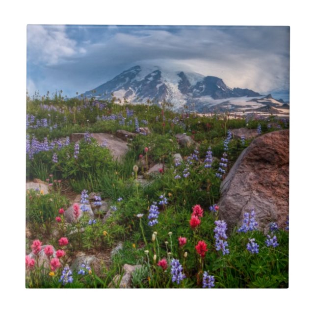 Azulejo De Cerámica Wildflowers (Frente)
