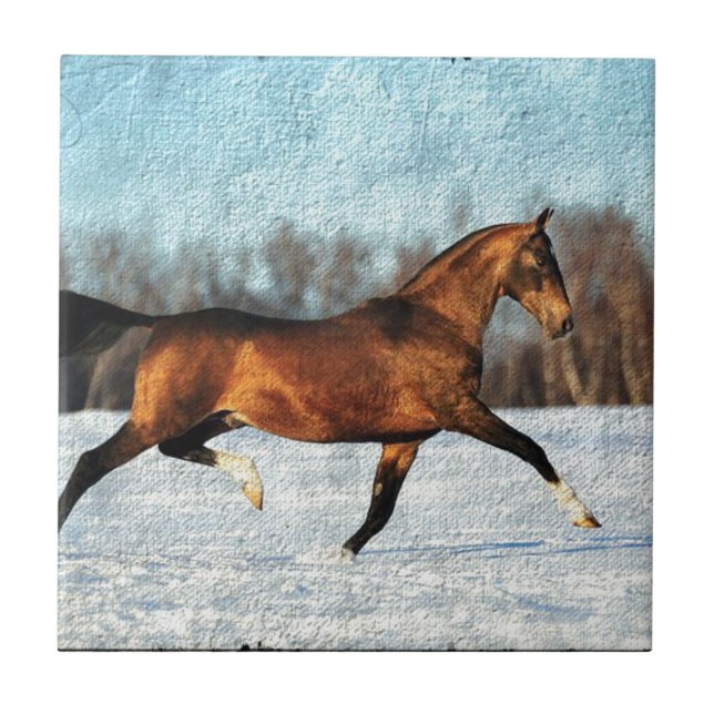 Azulejo De Cerámica Winter Akhal-teke (Frente)