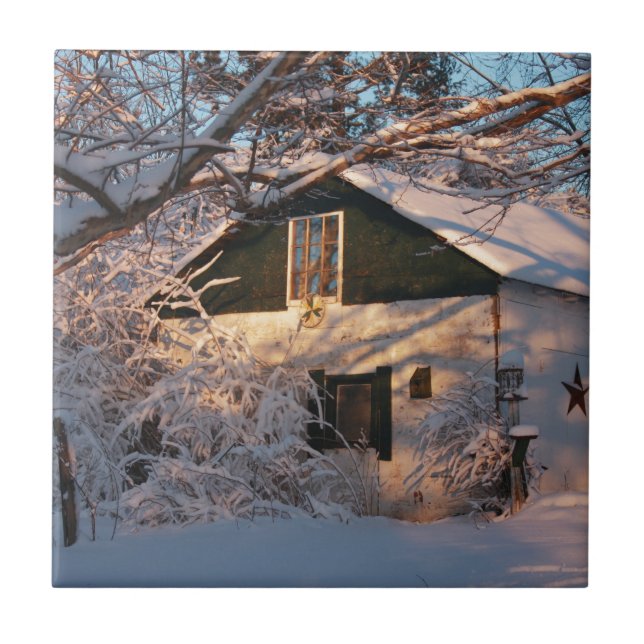 Azulejo De Cerámica Winter Wonderland (Frente)