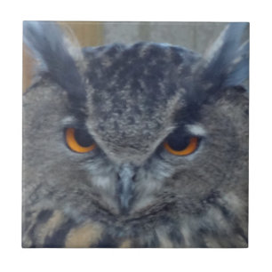 Azulejo De Cerámica Wise One