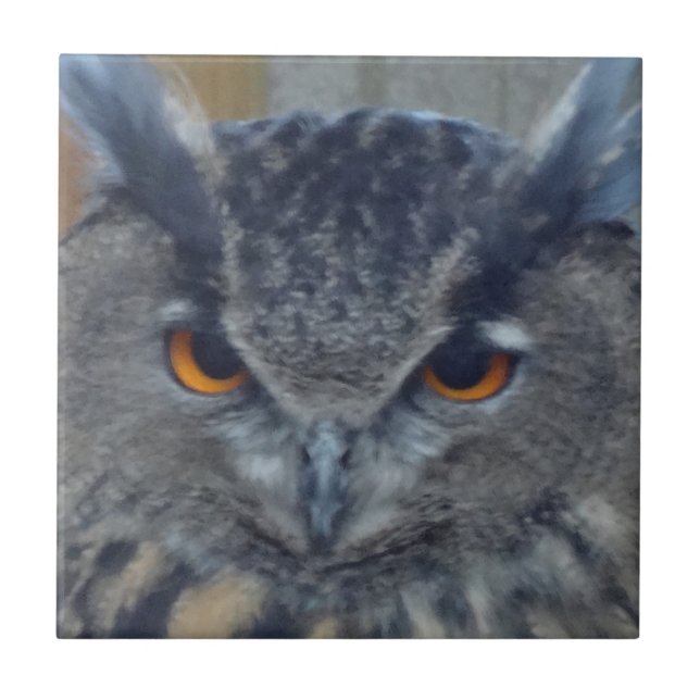 Azulejo De Cerámica Wise One (Frente)