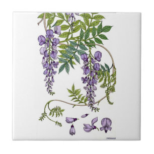 Azulejo De Cerámica Wisteria