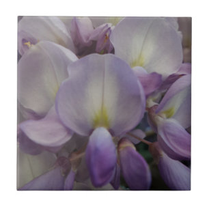 Azulejo De Cerámica Wisteria Pequeña (4,25" x 4,25") Tejido de fotogra