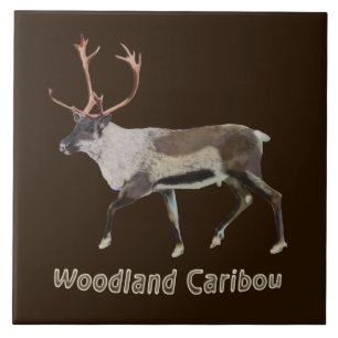 Azulejo De Cerámica Woodland Caribou
