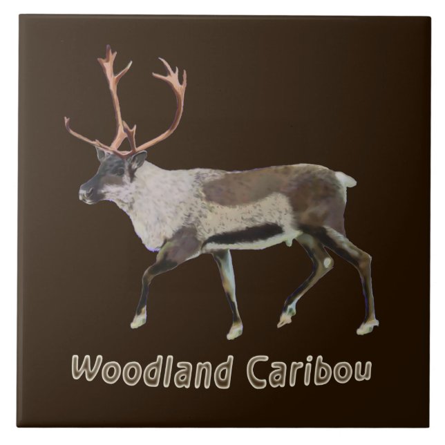 Azulejo De Cerámica Woodland Caribou (Frente)